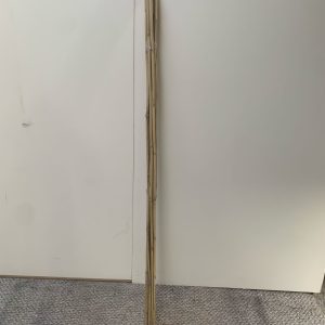 Bamboo Cane 6FT X 10