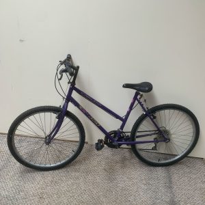 Townsend TX-350 Sis Bicycle