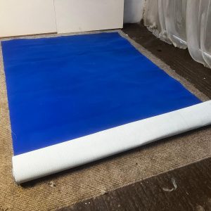 Blue Carpet